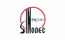 中国石化